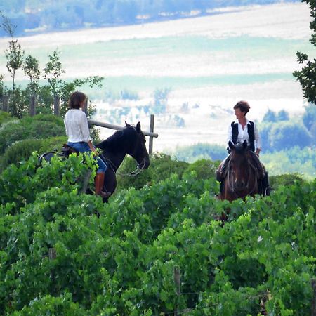 ホテル Castello Banfi - Il Borgo - Relais Et Chateaux Poggio alle Mura エクステリア 写真