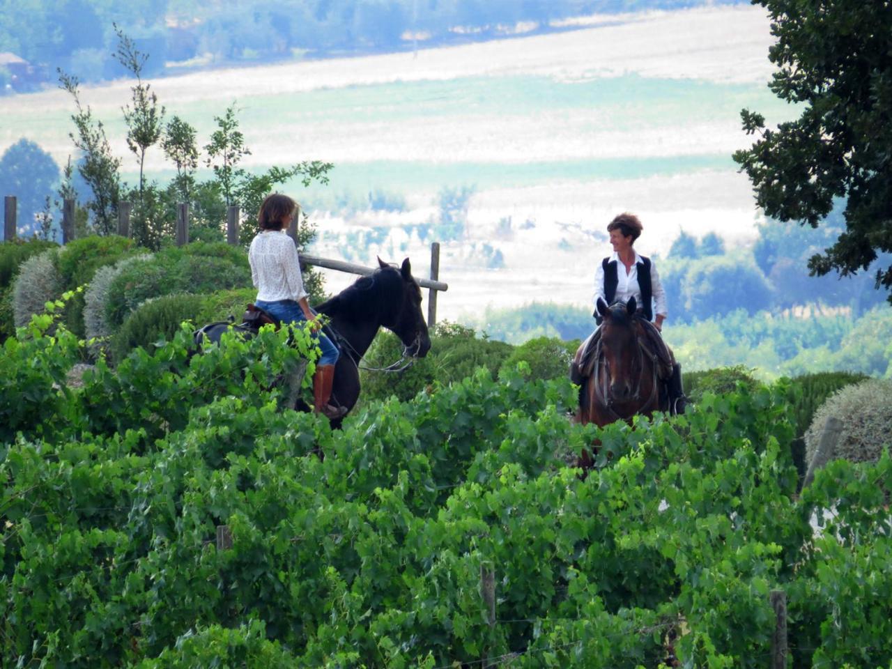 ホテル Castello Banfi - Il Borgo - Relais Et Chateaux Poggio alle Mura エクステリア 写真